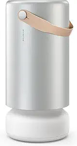 Molekule Air Pro Air Purifier for Large Rooms up to 1000sq. ft. with PECO Technology, Compatible with Alexa, Eliminates Smoke, Mold, Bacteria & Other Pollutants for Clean Air – Silver