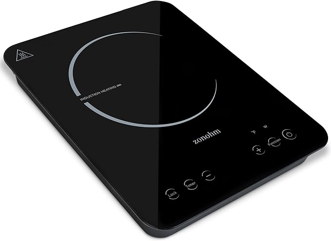 Portable Induction Cooktop, Countertop Burner, 1800W, Shutter Proof Ceramic Glass, Timer, Safety Lock, Touch Control, Auto Shut Off, Pan Detection, Precision Temperature control (Black)