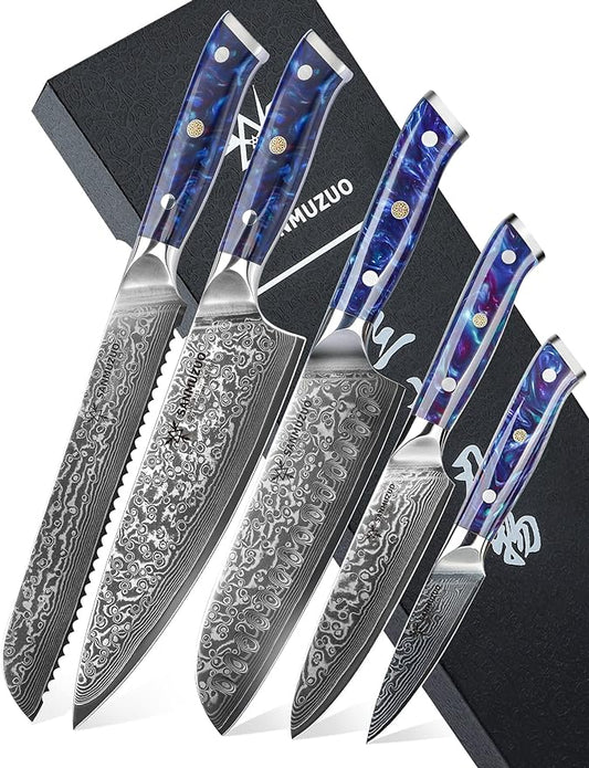 Chef Cooking Knives Set- Kitchen Knife Set of 5 Piece - Ultra-Sharp VG10 Damascus Steel & Resin Handle - Xuan Series (Sapphire Blue)